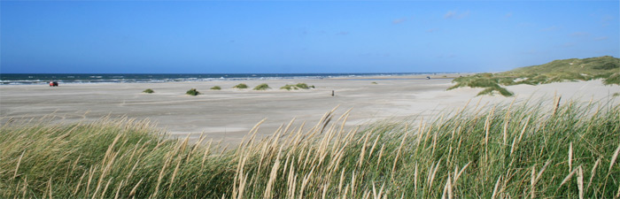 Saltum Strand
